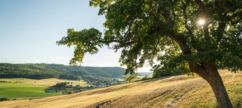 Landschaftsaufnahmen des Klausnerweges Enztal